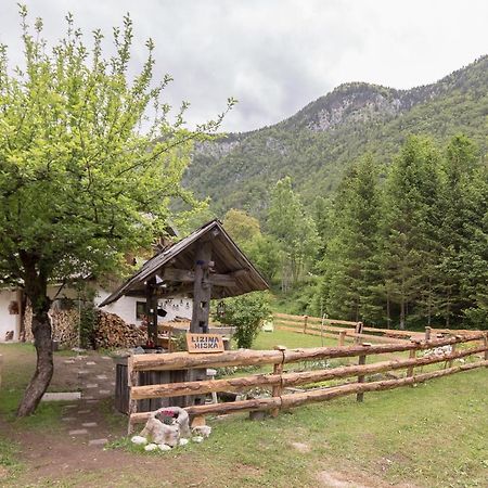 Lizina Hiska House Bohinj Villa Bohinjska Bistrica Exterior photo