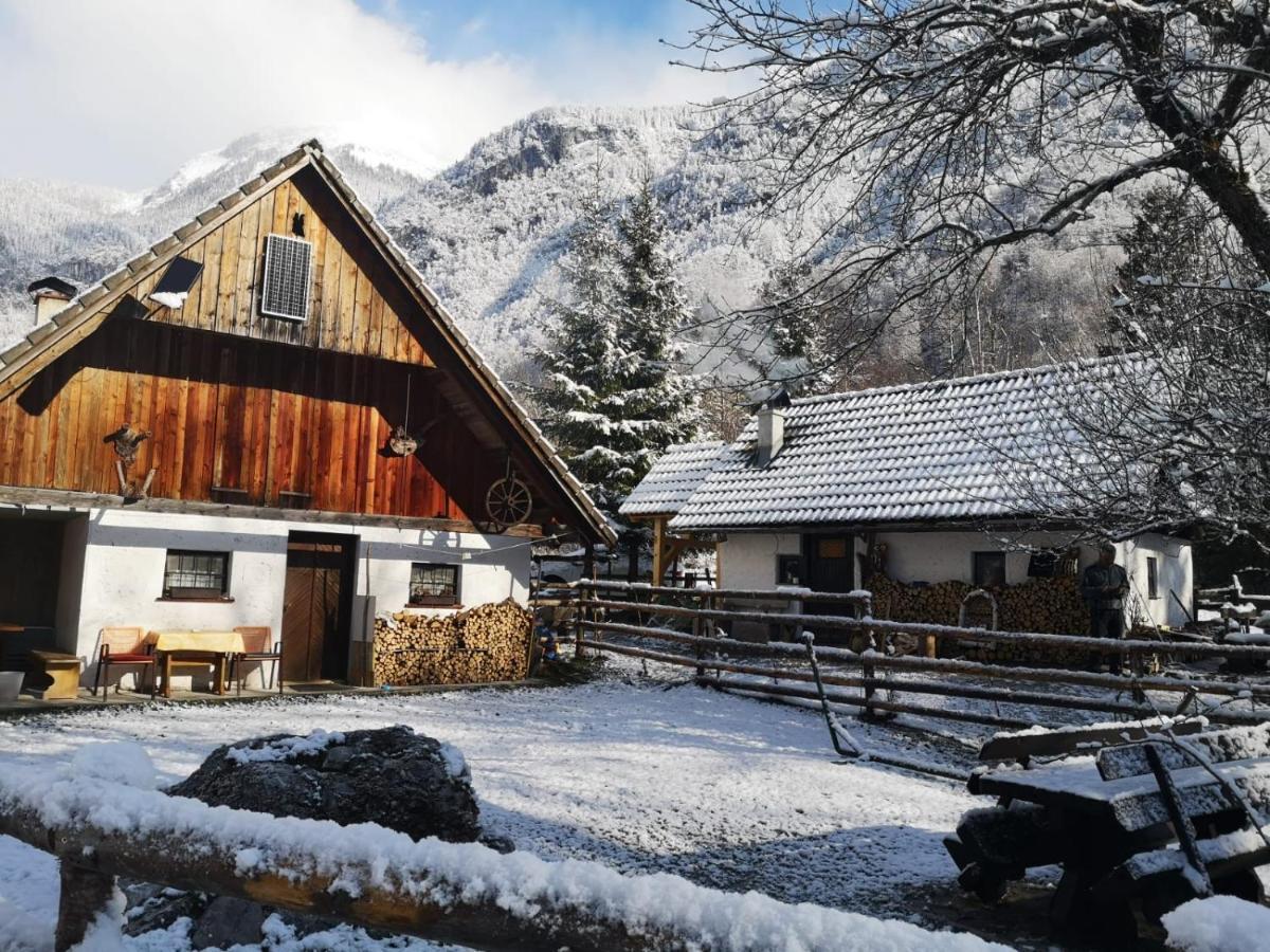 Lizina Hiska House Bohinj Villa Bohinjska Bistrica Exterior photo