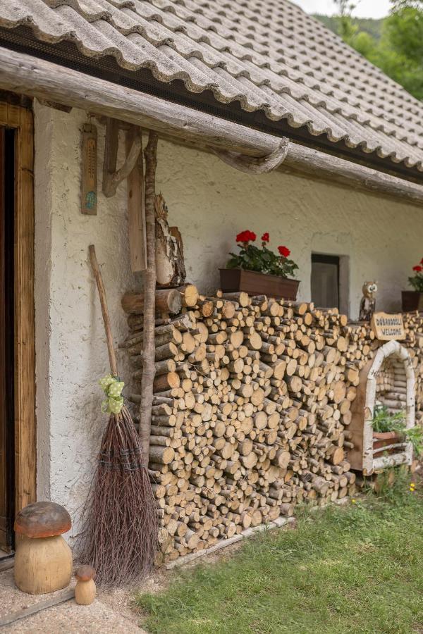 Lizina Hiska House Bohinj Villa Bohinjska Bistrica Exterior photo