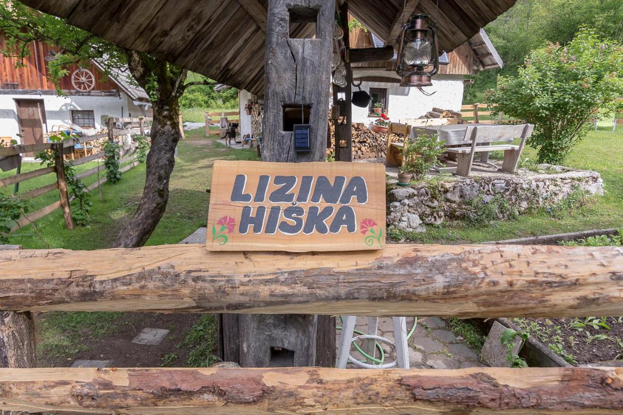 Lizina Hiska House Bohinj Villa Bohinjska Bistrica Exterior photo